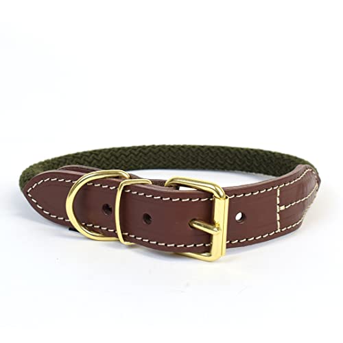 duvoplus, Explorer Forest Halsband Nylon M – 41 – 49 cm/14 mm, Grün, Hundehalsband, Grün von Duvoplus