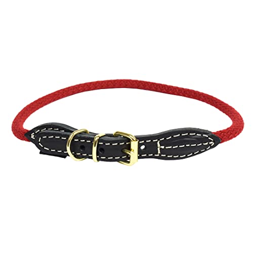 duvoplus, Explorer Forest Halsband Nylon M – 41 – 49 cm/14 mm rot, Halsband, rot, Hund von Duvoplus