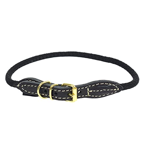 duvoplus, Explorer Forest Halsband Nylon M – 47 – 51 cm / 8 mm Schwarz, Halsband, Schwarz, Hund von Duvoplus