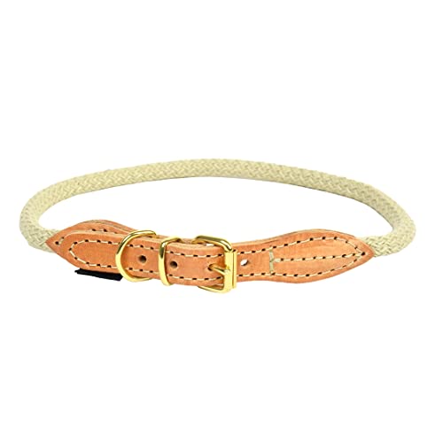 duvoplus, Explorer Forest Halsband Nylon XL – 62 – 66 cm/8 mm beige, Halsband, Beige, Hund von Duvoplus