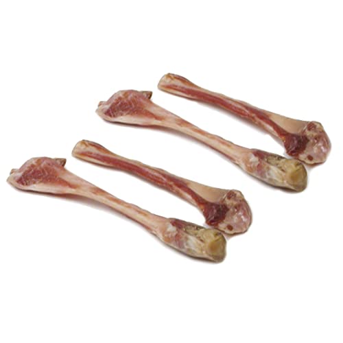 duvoplus, Farmz Italienischer Schinkenknochen Mini 4 Stück – 12 x 1,5 x 1 cm, 100% natürlich – 100% Schweinefleisch, ohne künstliche Farbstoffe, Aromen oder Süßstoffe, Nahrungsergänzungsmittel für von Duvoplus