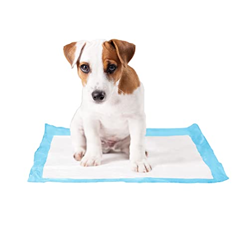 duvoplus, P-Pad Medium M – 50st – 30 x 45 cm, für Hygiene, Hund von Duvoplus