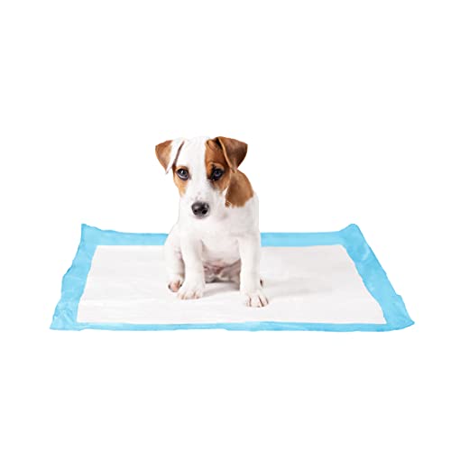 duvoplus, P-Pad XL XL – 50st – 60 x 60 cm, für Hygiene, Hund von Duvoplus