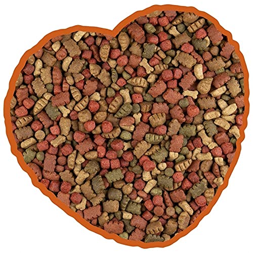 duvoplus, Variety Hundemenü 14 kg, Trockenfutter für Hunde, Vollnahrung, voller Vitamine und Mineralien, mit Ölen und Fetten für eine gesunde Haut und EIN gesundes Fell von Duvoplus