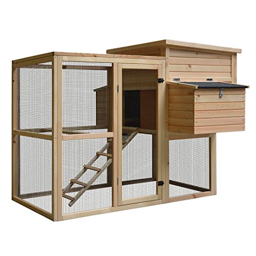 duvoplus, Woodland Huhn Loft Attic Pinus 172 x 146 x 125,5 cm, Vögel von Duvoplus