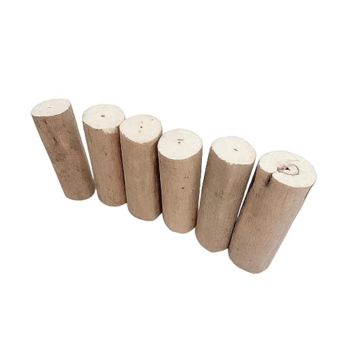 Duyeuau Vogel-Kauspielzeug, Papageienkäfig-Spielzeug, natürliches Holz, Molar-Stäbchen, Spielzeug für Wellensittiche, Papageien, kleine Vögel, 6 Stück Duyeuau Vogel-Kauspielzeug, Papageienkäfig-Spielzeug, natürliches Holz, Molar-Stäbchen, Spielzeug für Wellensittiche, Papageien, kleine Vögel, 6 Stück von Duyeuau