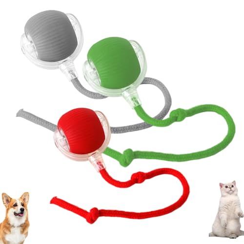 Duyifan Chewie Rolling Ball, Interactive Cat Toys Rolling Ball, with USB Charging, 360° Smart Automatic Rolling Large Small Cats & Dogs Pet Ball, for Indoor Outdoor (3pcs) von Duyifan