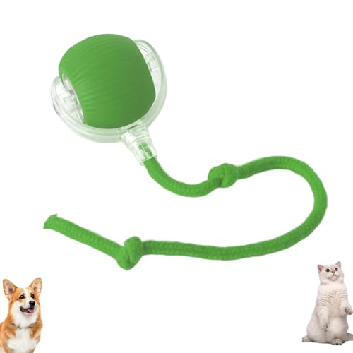 Duyifan Chewie Rolling Ball, Interactive Cat Toys Rolling Ball, with USB Charging, 360° Smart Automatic Rolling Large Small Cats & Dogs Pet Ball, for Indoor Outdoor (Green) von Duyifan