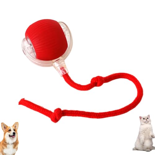 Duyifan Chewie Rolling Ball, Interactive Cat Toys Rolling Ball, with USB Charging, 360° Smart Automatic Rolling Large Small Cats & Dogs Pet Ball, for Indoor Outdoor (Red) von Duyifan