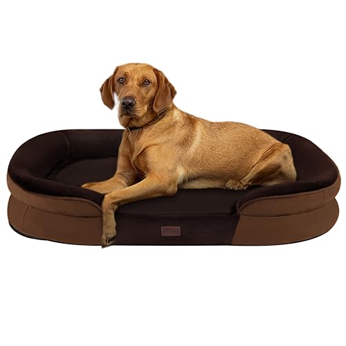 Dwanton Orthopädisches Hundebett für extra große Hunde, wasserdichtes Hundesofa mit Eierschaum-Unterstützung, waschbares Haustierbett mit vierseitigem Nackenrollenkissen, mit abnehmbarem Bezug und von Dwanton