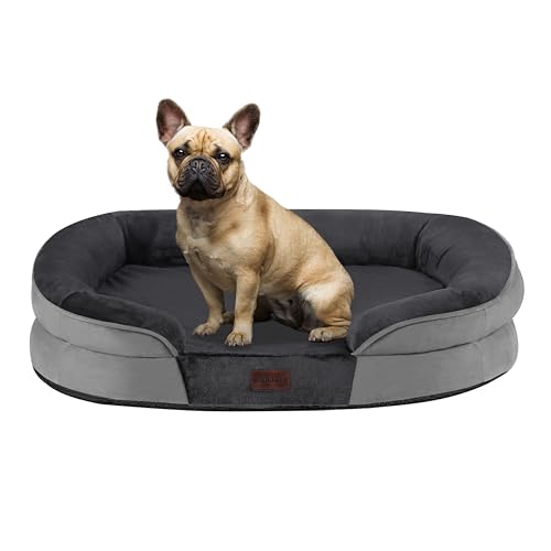 Dwanton Orthopädisches Hundebett für mittelgroße Hunde, wasserdichtes Hundesofa mit Eierschaum-Unterstützung, waschbares Haustierbett mit vierseitigem Nackenrollenkissen, mit abnehmbarem Bezug und von Dwanton