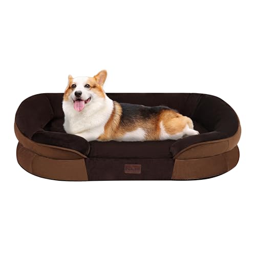 Dwanton Orthopädisches Hundebett für mittelgroße Hunde, wasserdichtes Hundesofa mit Eierschaum-Unterstützung, waschbares Haustierbett mit vierseitigem Nackenrollenkissen, mit abnehmbarem Bezug & von Dwanton