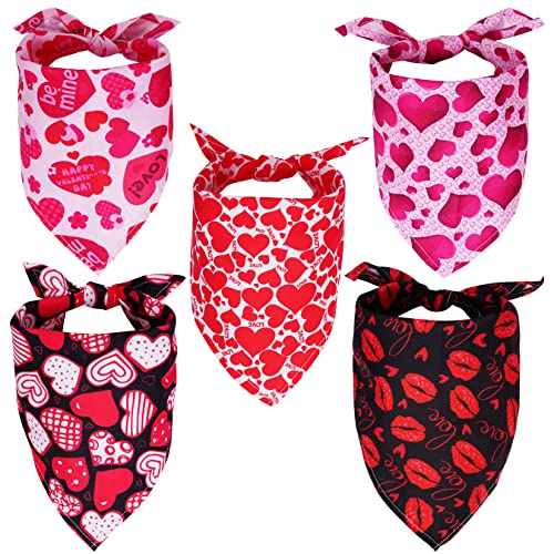 Dxhycc 5 Stück Valentinstag Hund Bandana Dreieckstuch Hund Schal Rot Rosa Herz Design Valentinstag Haustier Bandana für Hunde Katzen Haustiere von Dxhycc