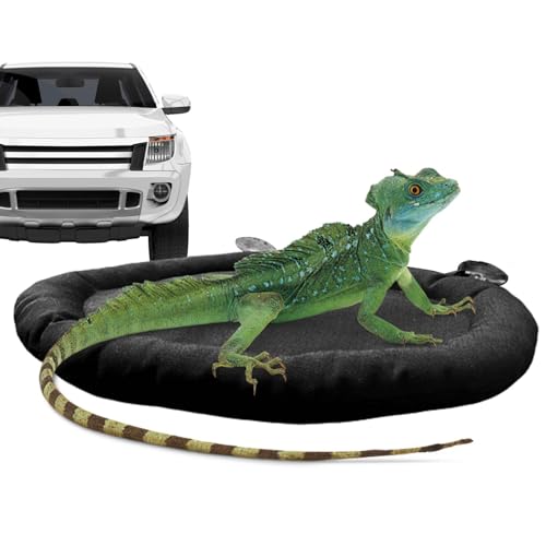 Dragon Hammock, Soft Portable Reptile Bed, Lightweight Bearded Dragon Hammock, Car Dashboard Reptile Hammock, Reptile Bed with Suction Cup, Bearded Dragon Supplies, Chameleon Hammock Bed von Dybnuhoc