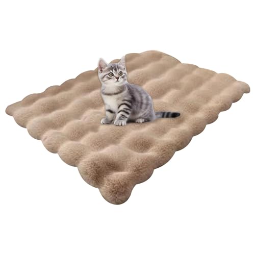 Dybnuhoc Adorable Cat Mat Bed, Kitten Bed Mat Dog Sleeping Mat, Dog Kennel Pad, Cat Warming Mat, Dog Bed Mat Anti-Slip, Washable Cat Bed for Indoor Cats Small Dogs, Pet Supplies von Dybnuhoc