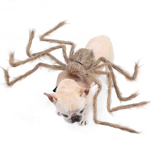 Dybnuhoc Spinne passt zu Hunden, Halloween-Kostüme für Hunde, Spinne - Pelzige Riesen-Simulationsspinnen-Haustier-Outfits,Verstellbares Cosplay-Kostüm für Cosplay, Halloween, Festival-Dekoration von Dybnuhoc