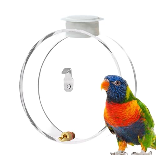 Dybnuhoc Vogel-Wasserspender, 300 ml, automatischer Vogel-Wasser-Futterspender | rund, transparent, Vogeltränke, Behälter, Sittichkäfig, Wasserspender für Wellensittiche, Nymphensittiche von Dybnuhoc