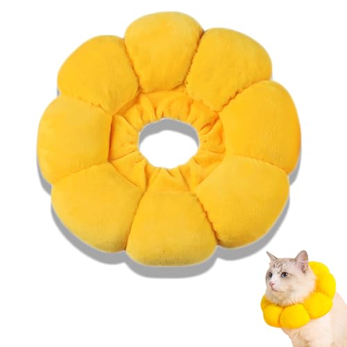 Halskrause Katze Einstellbarer Halsband Katzen Halskrause Weich Sonnenblume Katzenkragen Wiederherstellung Halskrausen für Katzen Haustiere Schutzkragen Katze Halskrause Anti Biss Leckschutz Katze von Dycjotyl