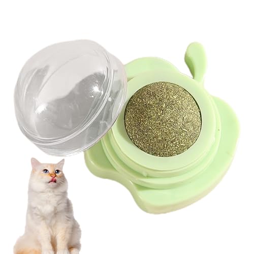 Dyeulget Catnip Ball Mount - Cat Energy Ball - Reinigung Zähne Spielzeug Katze Wand Dekoration, Katzenminze Spielzeug Katze Leckerlis Katzenminze Bälle für Katzen Wand von Dyeulget