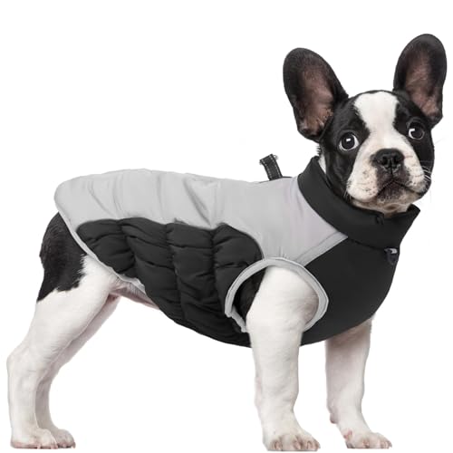 Dyeulget Hunde-Schneejacke, Wintermantel, warme Hundejacke – warmer Hundemantel, wasserdicht, kaltes Wetter, Schneejacke mit reflektierenden Streifen für mittelgroße und große Hunde von Dyeulget