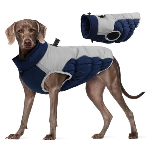 Dyeulget Hunde-Schneemantel | Wintermantel, warme Hundejacke, warmer Hundemantel, wasserdicht, kaltes Wetter, Schneejacke mit reflektierenden Streifen für mittelgroße und große Hunde von Dyeulget