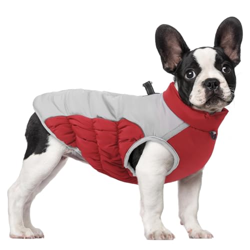 Dyeulget Hunde-Winterjacke, warmer Hundemantel, wasserdicht, für kaltes Wetter, Schneejacke mit reflektierenden Streifen für mittelgroße und große Hunde von Dyeulget