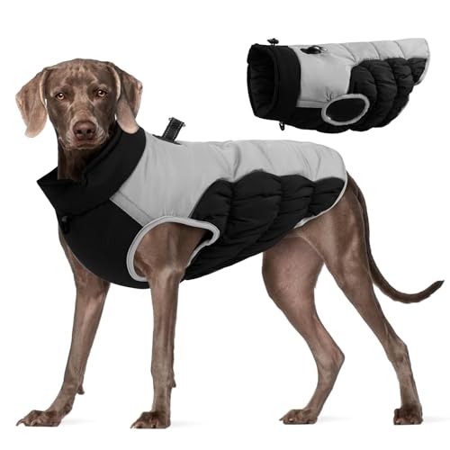 Dyeulget Hunde-Wintermantel, warme Hundeweste, winddicht, warmer Hundemantel, wasserdicht, für kaltes Wetter, Schneejacke mit reflektierenden Streifen für mittelgroße und große Hunde von Dyeulget