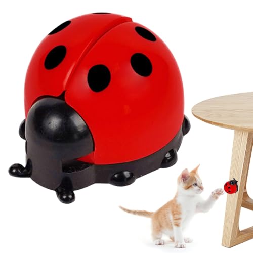 Dyeulget Katzenminze-Bälle für Katzen, niedliches selbstklebendes Kauspielzeug, Katzenminze-Bälle zur Wandmontage, essbarer Spielzeugball mit Katzenminze, Spielzeug für drinnen und draußen von Dyeulget