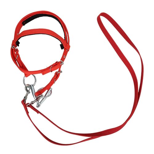 DzpKrka Zähne für, Nylon -Kopfstall für, Seilverstellbares Kopfstall -Bridle, Animal Bridle -Gurt mit Schnappschüssen, Sicherheitsranchseil, versorgung von DzpKrka