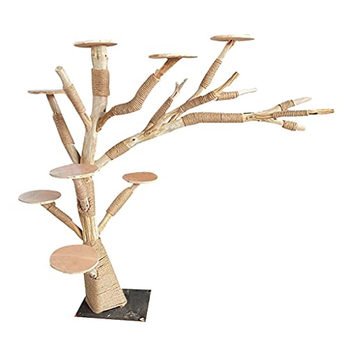 Massivholzkatze Tower Anmelden Baumstammkatze Katze Kletterrahmen Non-Stick Haar Katze Baum mit 8 Discs Jumping Platform Haustier Katze Spielzeug (Color : Wood Color, Größe : 1 Meter) von Dzwyc