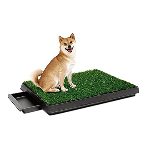 Schublade Dog Toilette Rasen Toilette taor Indoor Toilette Hund Matte pet Potty Tray Training Matte pet liefert (Color : Green, Größe : 61 x 49cm) von Dzwyc