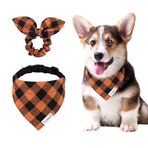 E-Clover Herbst Hundehalsband, kariert, Bandana und passendes Haargummi, verstellbar, für XS, kleine Hunde, Welpenbesitzer, Geschenk, Orange von E-Clover