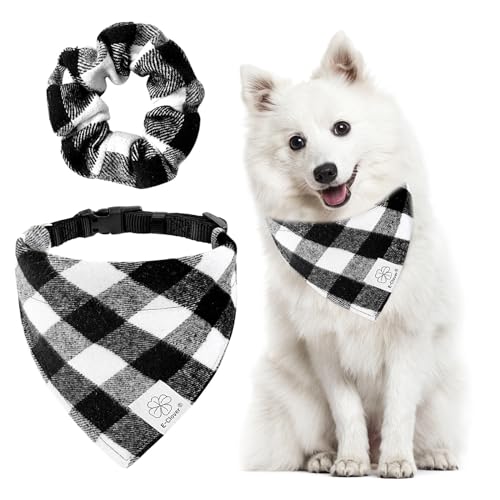 E-Clover Hundehalsband, Bandana und passendes Haargummi-Set, verstellbar, für Jungen, Hunde, Halsbänder, Haustierzubehör für kleine, mittelgroße Hunde, Welpenbesitzer, Geschenk von E-Clover