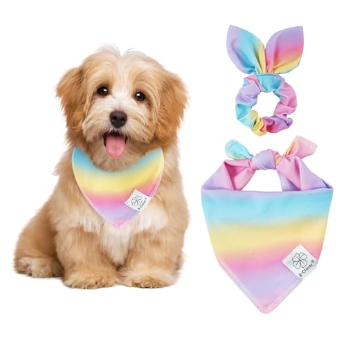 E-Clover Hundehalstuch in Regenbogenfarben und passendem Haargummi, niedliches Hundekostüm, Zubehör für kleine Hunde, Rosa, Lila, Gelb von E-Clover