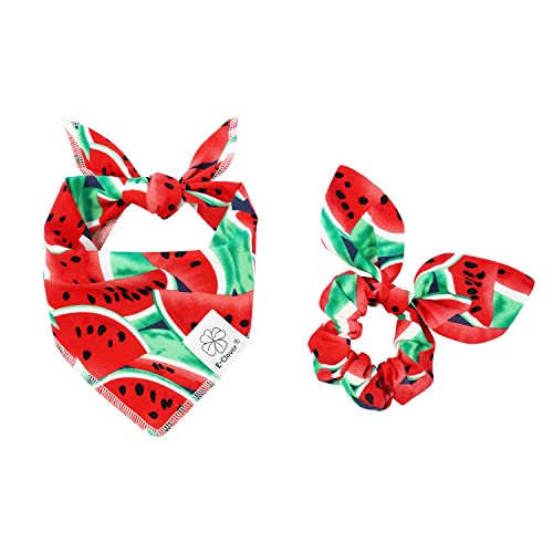 E-Clover Hundehalstücher Sommer & Passendes Scrunchie Set Hund Bandana Lätzchen Waschbar Halstuch Schal für kleine Hunde Welpen & Besitzer Wassermelone von E-Clover