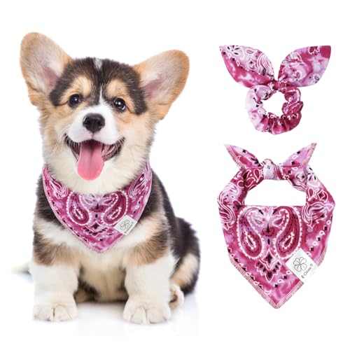 E-Clover Hundehalstücher und passendes Haargummi, für Mädchen, Haustierhalstuch, Schal für kleine Hunde, Welpenbesitzer, Mutter, Geschenk, Sommer, Violett von E-Clover