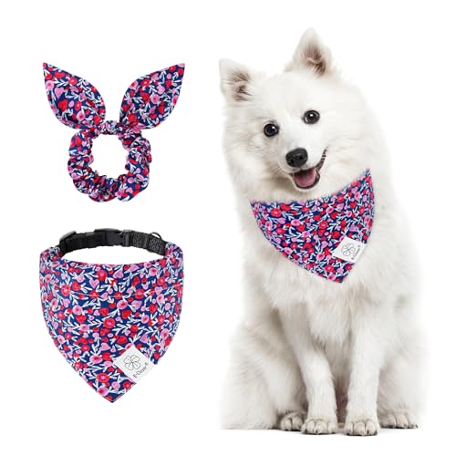 E-Clover Hundehalsband, Bandana, Mädchen und passendes Haargummi-Set, Herz, Hundehalsband, Haustierzubehör, verstellbar, für kleine Hunde, Welpenbesitzer, Valentinstag, Rosa von E-Clover