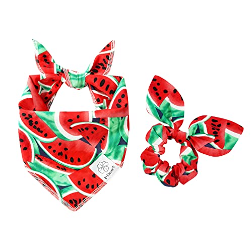 Hundehalstücher & passende Haargummis Set Sommer Hund Bandana Lätzchen Waschbar Halstuch Schal für Mittlere Große Hunde & Besitzer Wassermelone von E-Clover