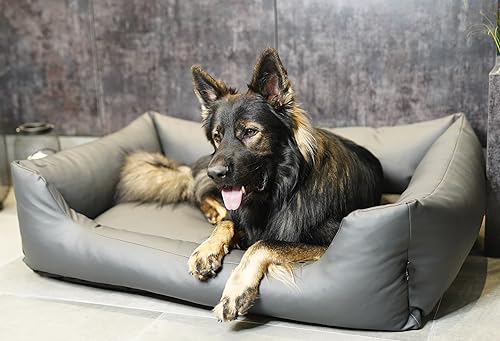 4L Textil Mario Wasserfestes Hundebett Kunstleder Hundekorb aus Kunstleder Hundebett große und mittelgroße Hunde Hundesofa Kunstleder XXL Hundekissen wasserfest (120x90 cm, Grau) von 4L Textil