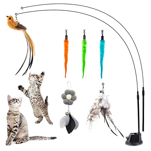 EASY JOY Interaktives Katzenspielzeug, Katzenangel mit Saugnapf, 2 Katzenangel, 6 Spielzeuge mit Glöckchen, Fliegender Vogel Cat Toys für Kleine Große Katzen EASY JOY Interaktives Katzenspielzeug, Katzenangel mit Saugnapf, 2 Katzenangel, 6 Spielzeuge mit Glöckchen, Fliegender Vogel Cat Toys für Kleine Große Katzen von EASY JOY