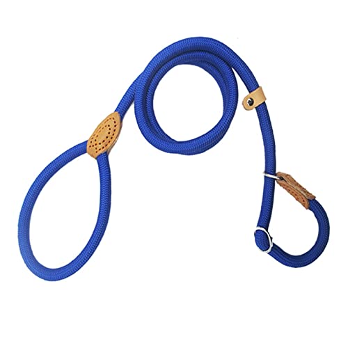 Hundeleine Gleitleine P-Leine Leine Nylon genähtes Halsband Verstellbares Ringhalsband Trainingsleine for mittelgroße bis große Hunde (Color : Blue, Size : 1x150cm) von EBSBAG