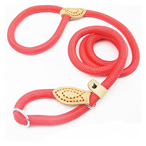 Hundeleine Gleitleine P-Leine Leine Nylon genähtes Halsband Verstellbares Ringhalsband Trainingsleine for mittelgroße bis große Hunde (Color : Red, Size : 0.6x150cm) von EBSBAG