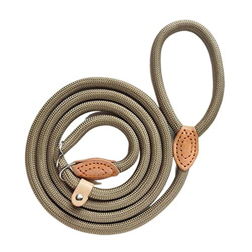 Hundeleine Nylon-Haustierleine Verstellbare Hundeleine Langlebige Leine Leichte Hundeprodukte Gehtraining (Color : Beige, Size : XL 150cmx1.4cm) von EBSBAG