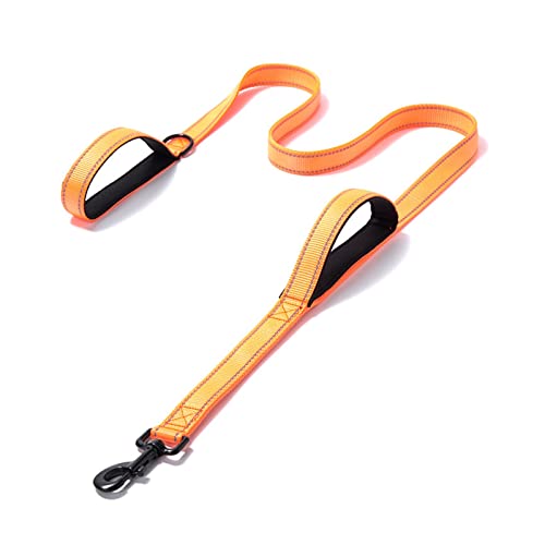 Hundeleine verstellbare reflektierende Nähte Doppelgriff Hundeleine Laufleine Hundezubehör (Color : Orange Black, Size : M (2.5x150cm)) von EBSBAG