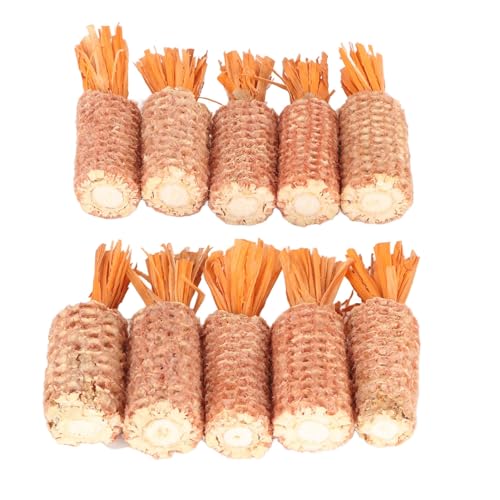 EBTOOLS 10pcs Karottenförmige Mais -Cob -Kauspielzeug für Hamster, Bits, Guinea S & Sm S - S Health Spaß (Orange S -Größe) von EBTOOLS