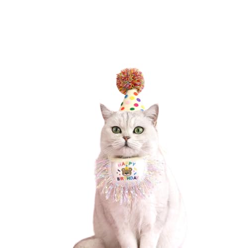 Bunte Hunde-Geburtstagsmütze mit Lätzchen, modisch, für Frühling, Karneval, für Fotografie, lustiger Geburtstagshut, Hunde-Lätzchen für kleine Hunde, Lätzchen, Halsband, 2 Stück von EBVincxmk