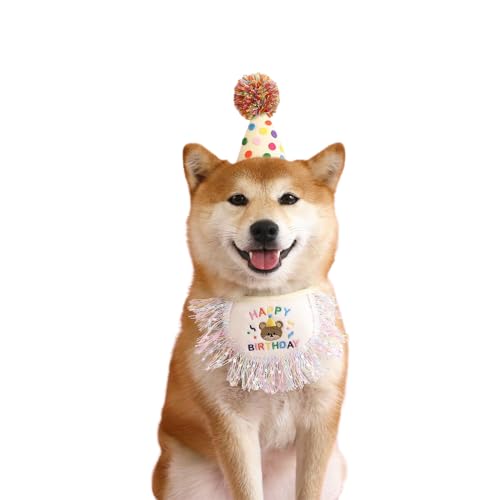 Bunte Hunde-Geburtstagsmütze mit Lätzchen, modisch, für Frühling, Karneval, für Fotografie, lustiger Geburtstagshut, Hunde-Lätzchen für kleine Hunde, Lätzchen, Halsband, 2 Stück von EBVincxmk