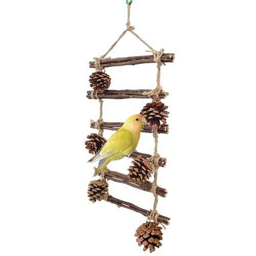 ECMQS Vogel Barsch Natur Holz Ständer Für Papageien Conure Liefert Wellensittiche Leiter Kratzer Für Kleine Papageien Rack Spielzeug Leiter Für Vogelkäfig von ECMQS