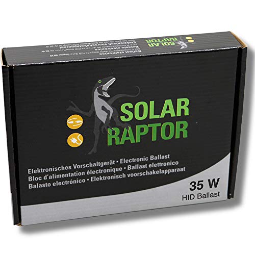 SolarRaptor EVG 35 Watt von ECONLUX