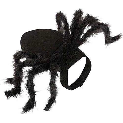 ECOSWAY Halloween Spinne Haustier Kostüm Cool Ball Kleidung für Hund Welpe Lustig Party Haustiere Liefert - Small von ECOSWAY